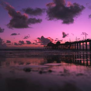 欧美国产巨大白寡妇在线
