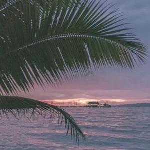 欧美国产巨大白寡妇在线
